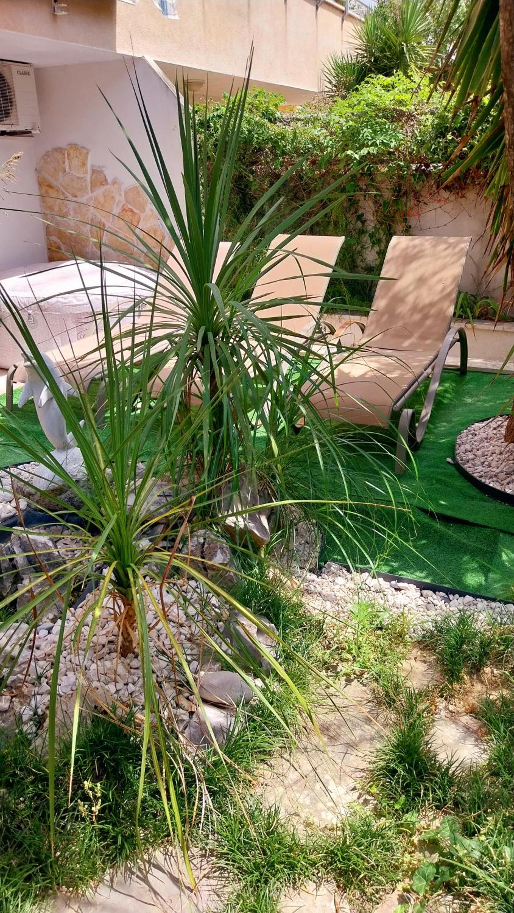 Beach Zenta Apartments photo 3