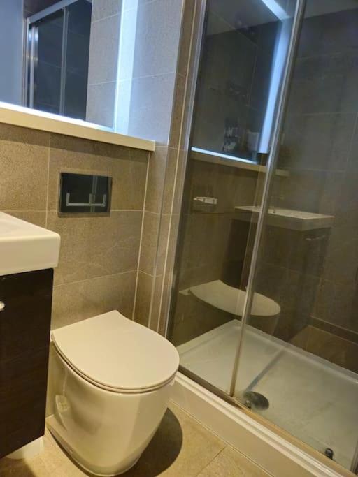 Spacious 1 Bedroom in Luton view 2