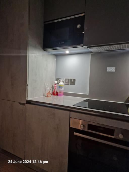 Spacious 1 Bedroom in Luton view 4