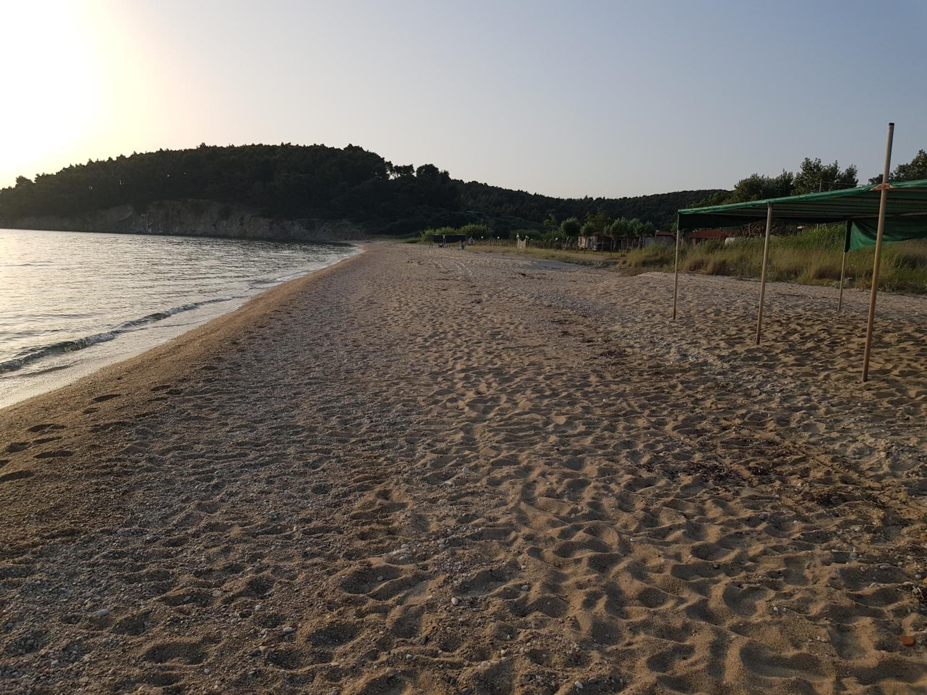 paradisedream