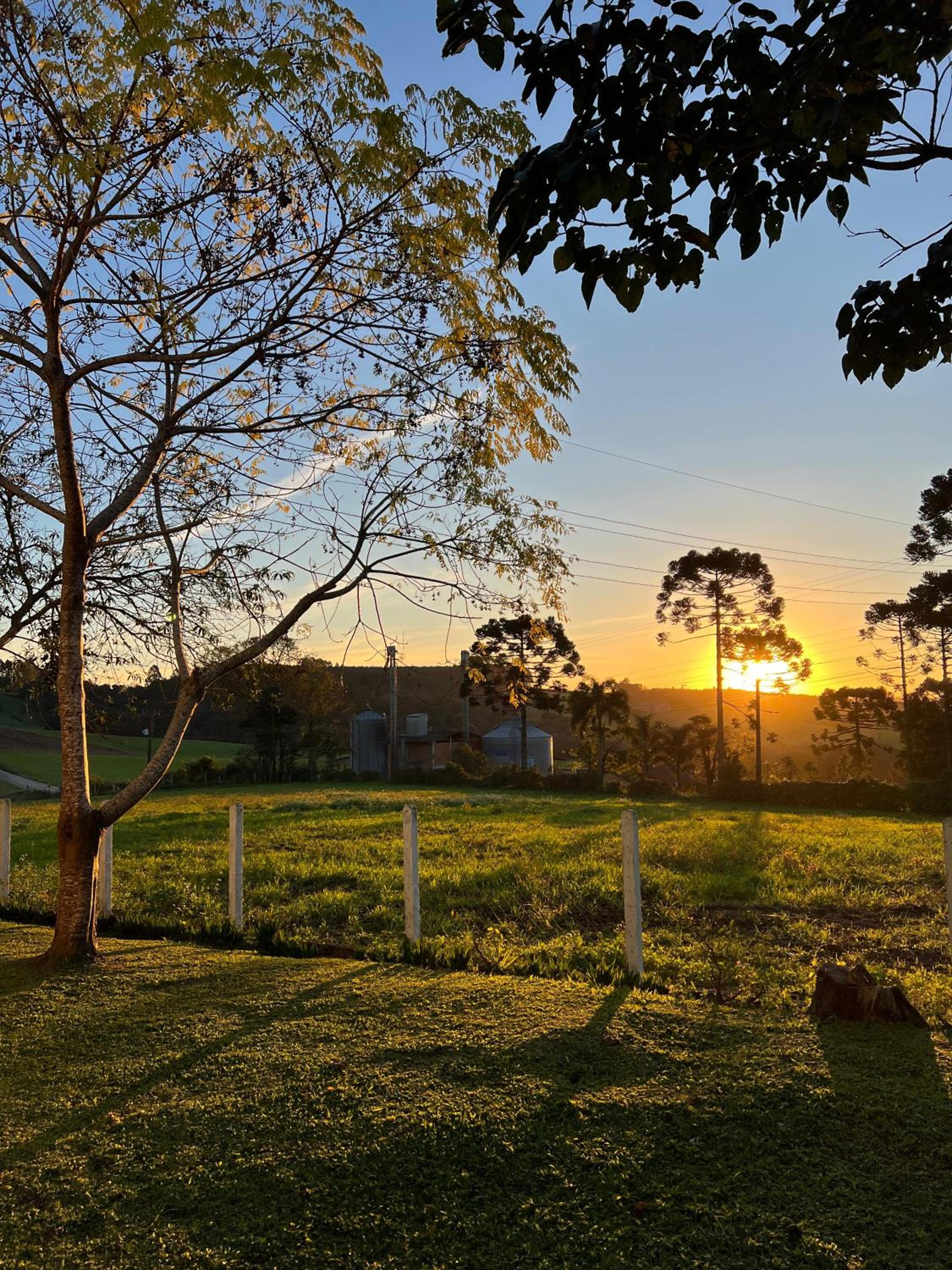 Cabana Estufa