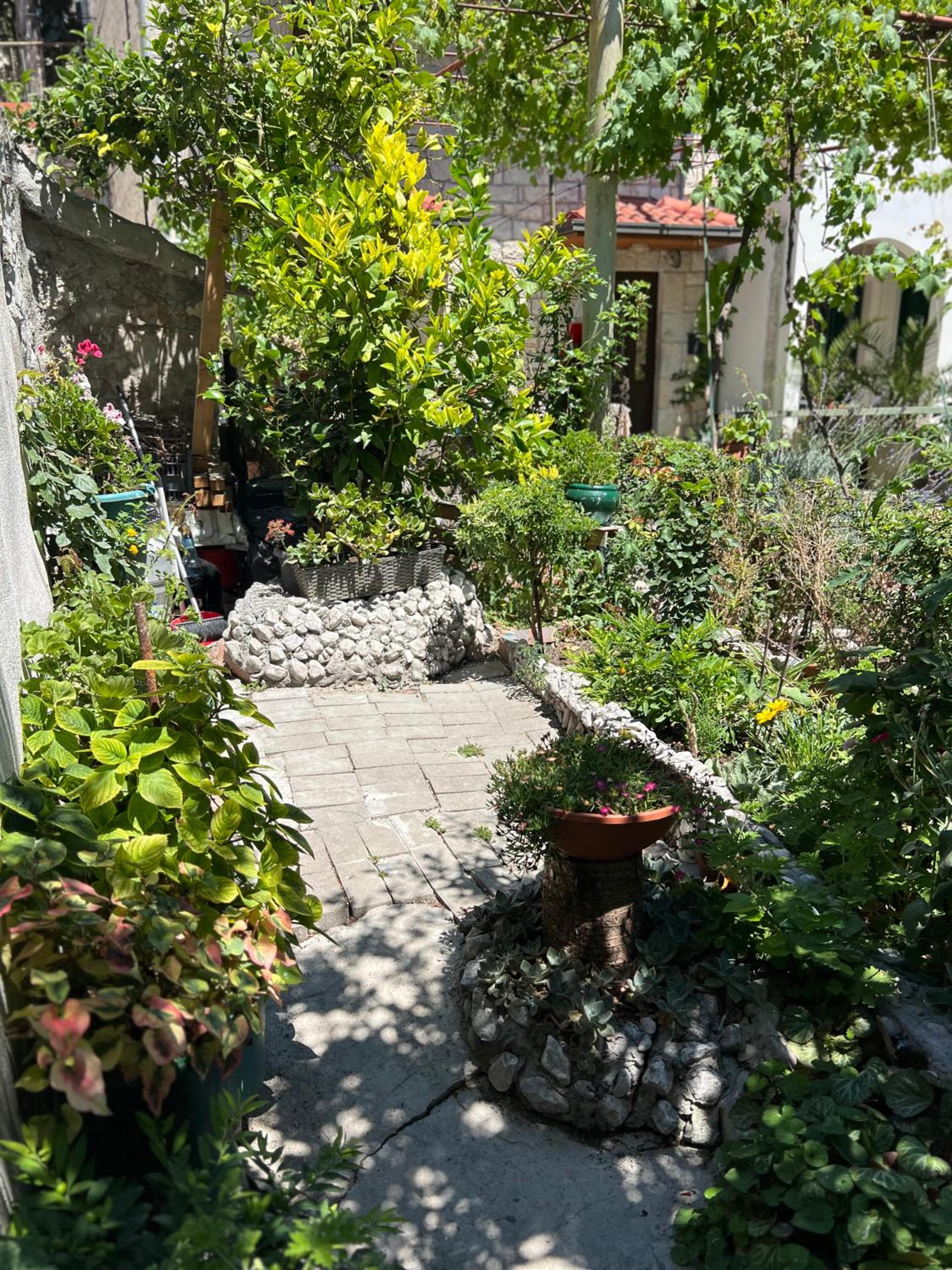 Babin sat photo 3