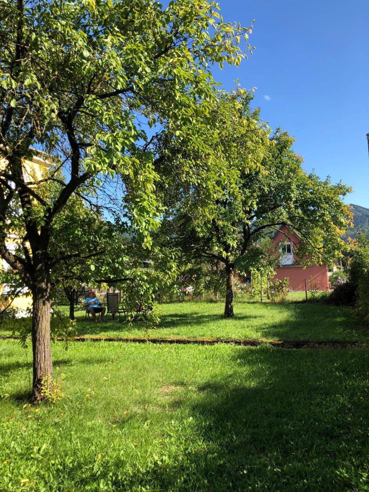 Löwenzahn