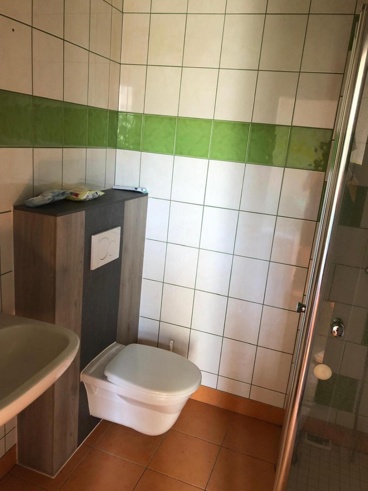 Löwenzahn