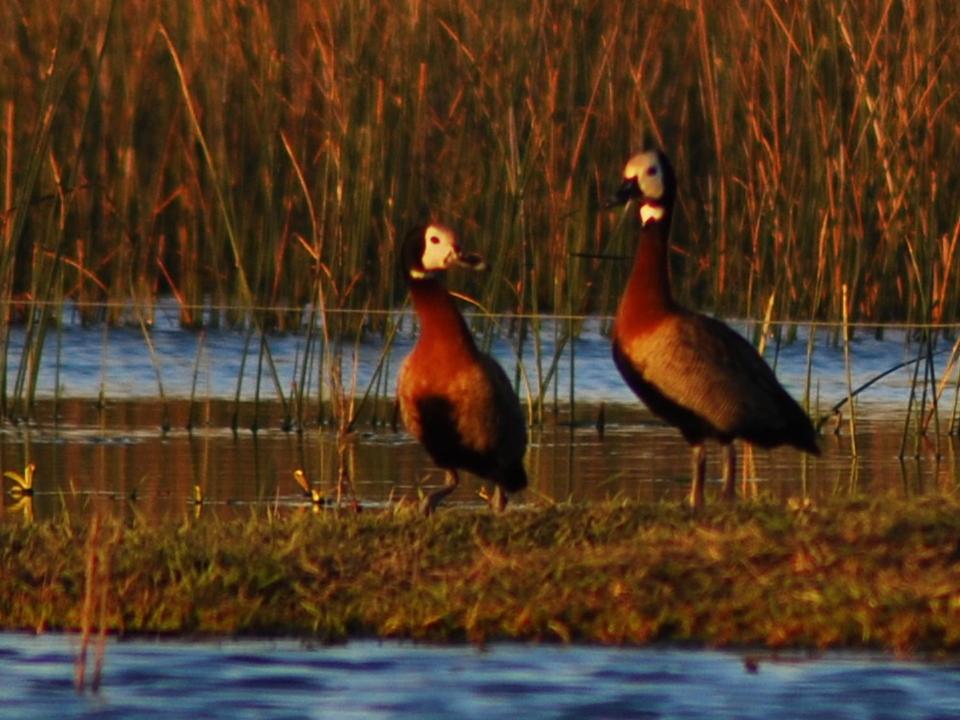 Apartamentos Laguna de Navarro