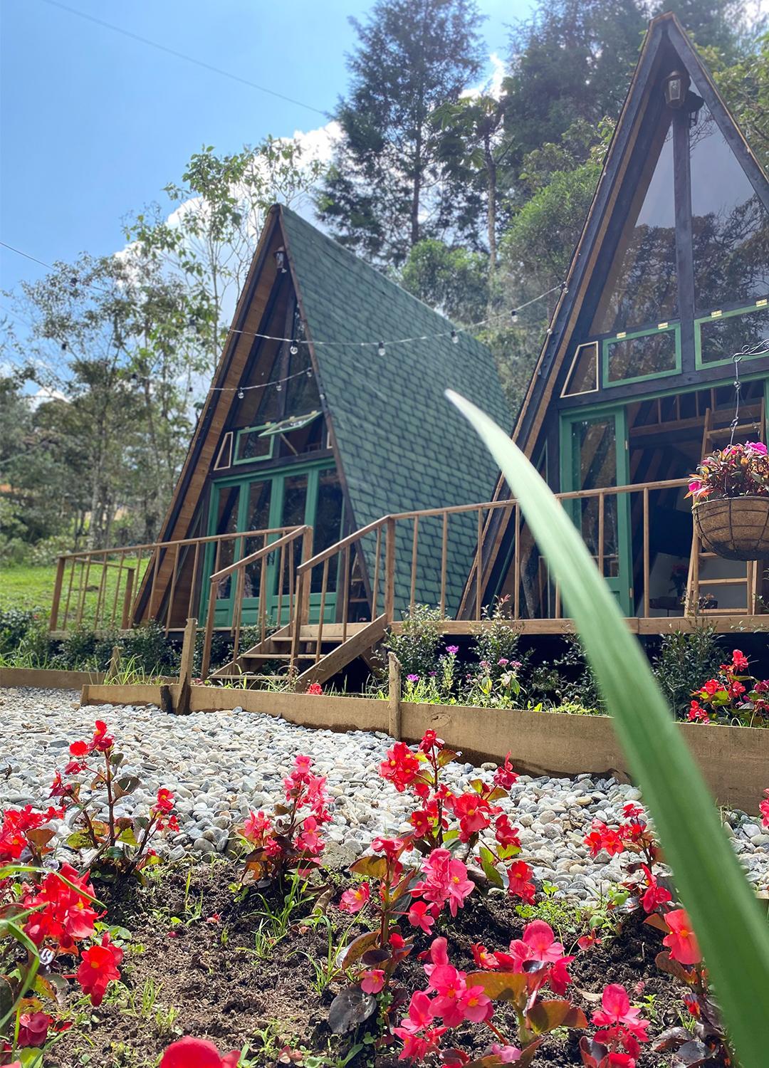 Chapola Home