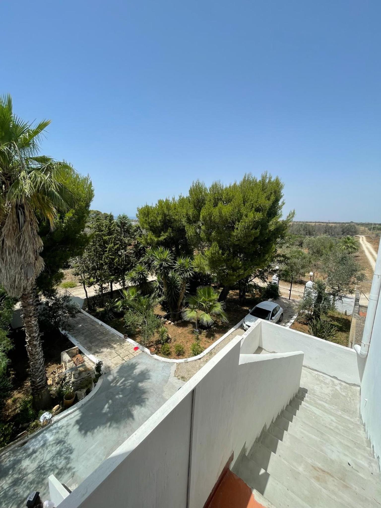 La Sarparea, Masseria photo 5