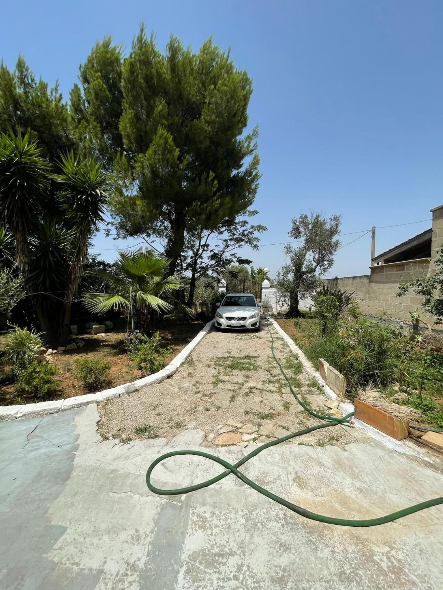 La Sarparea, Masseria photo 3