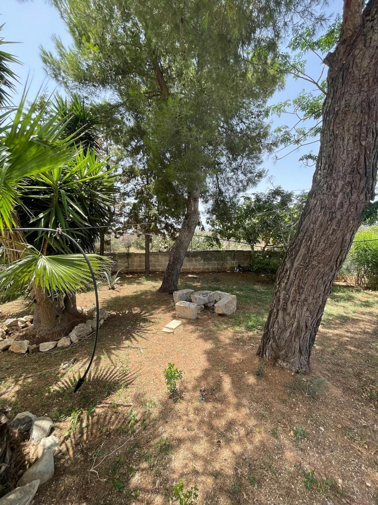 La Sarparea, Masseria photo 4