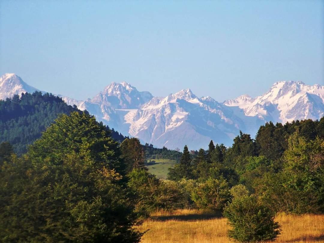 Karavani