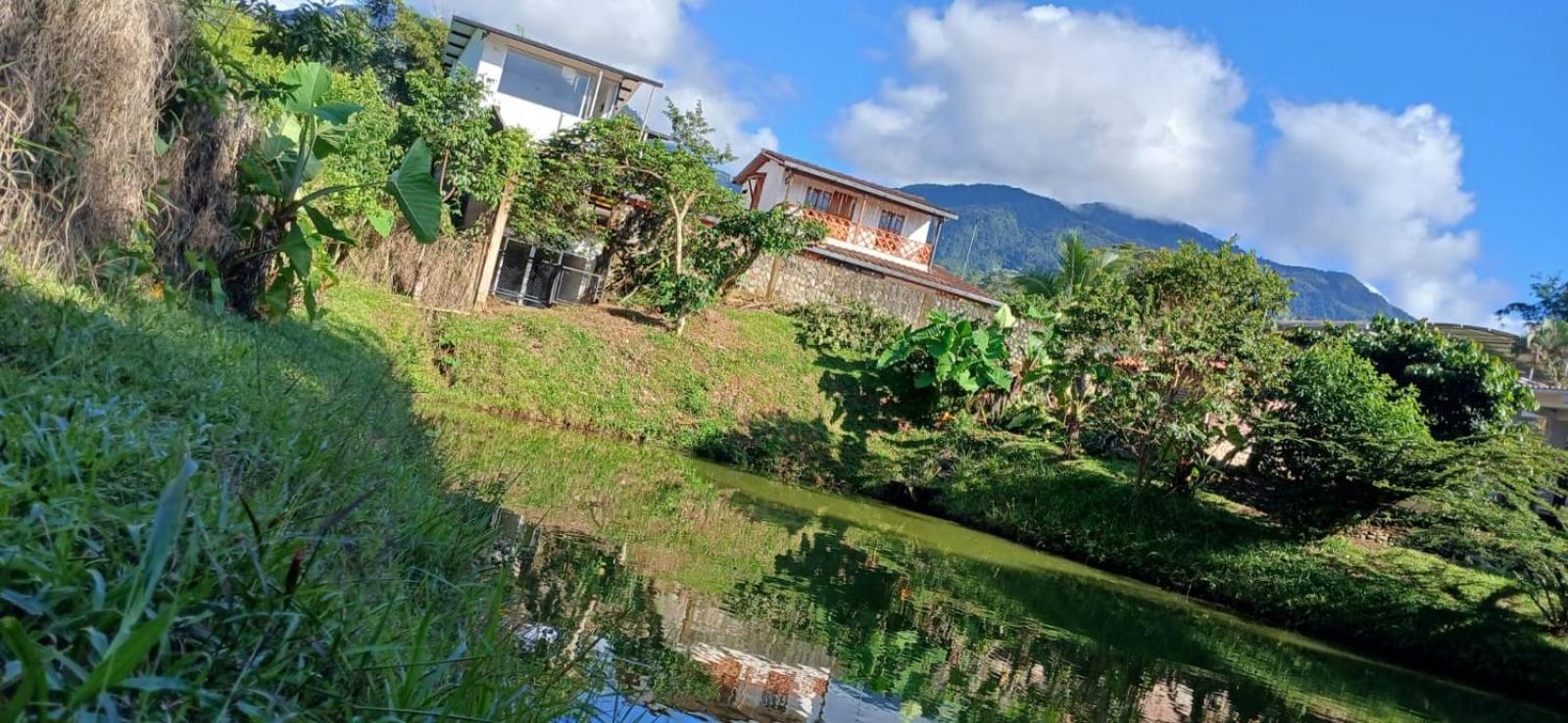 Birdsong lodge