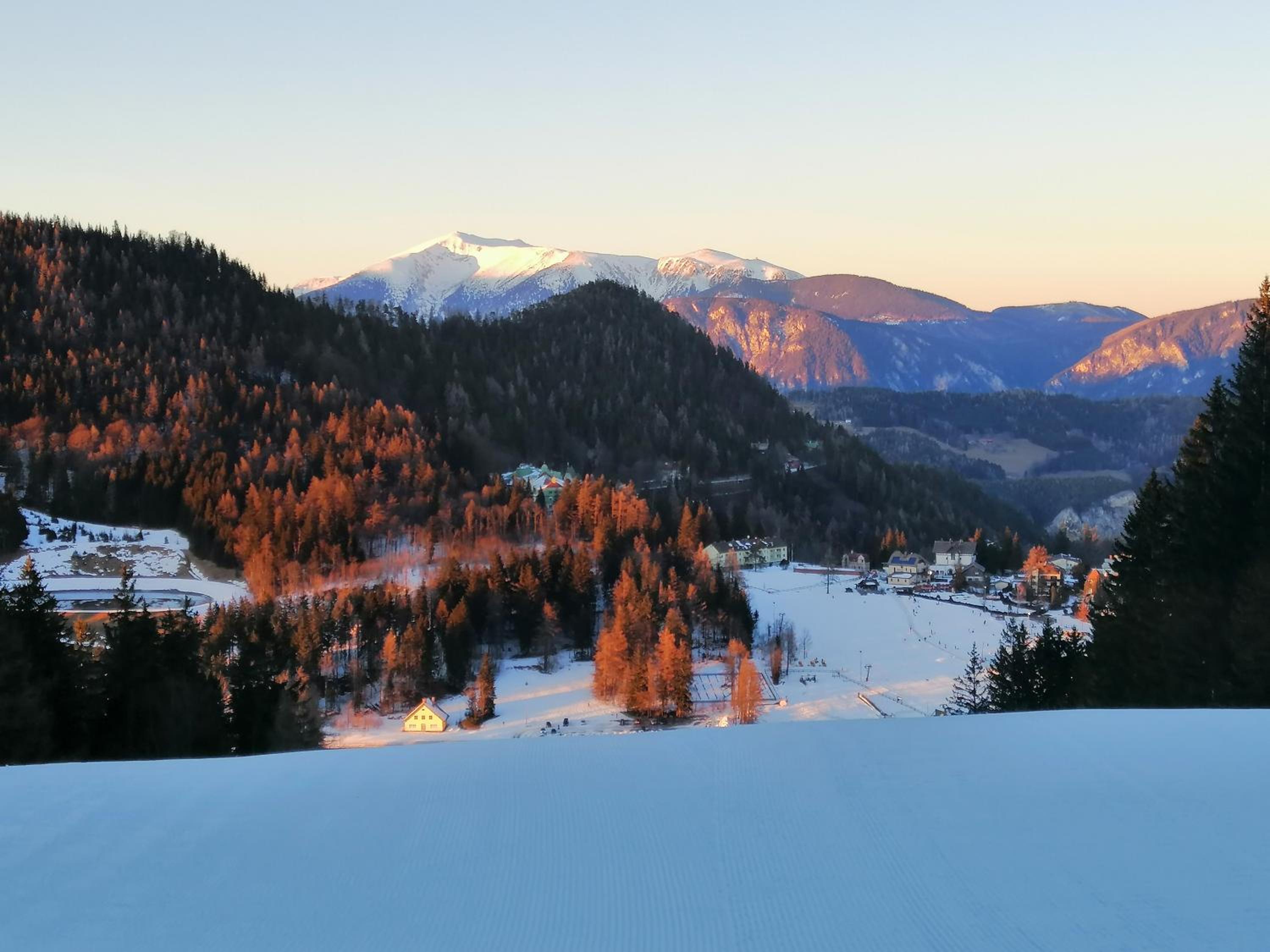 Atelieo beim Nussbaum