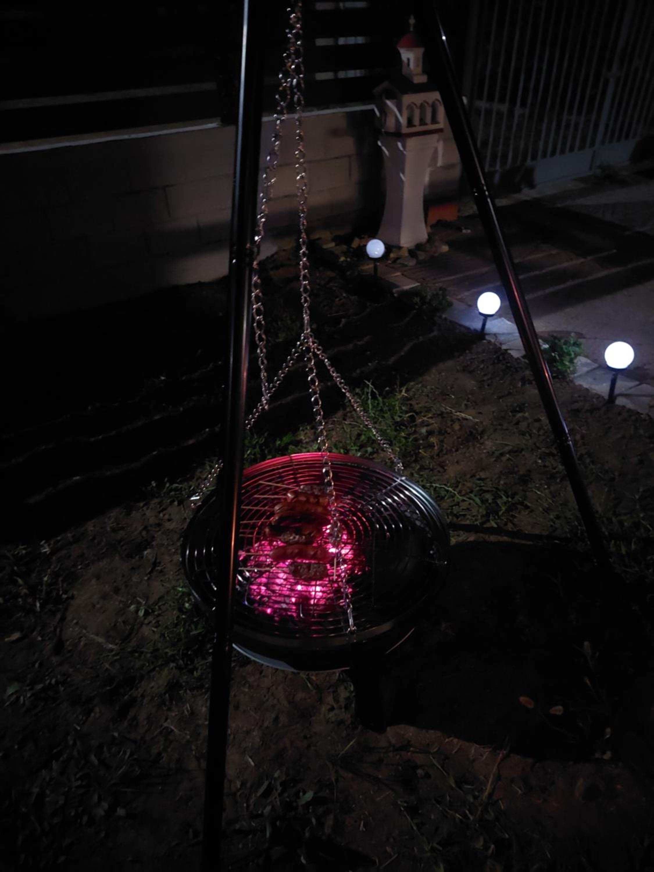Photo 42