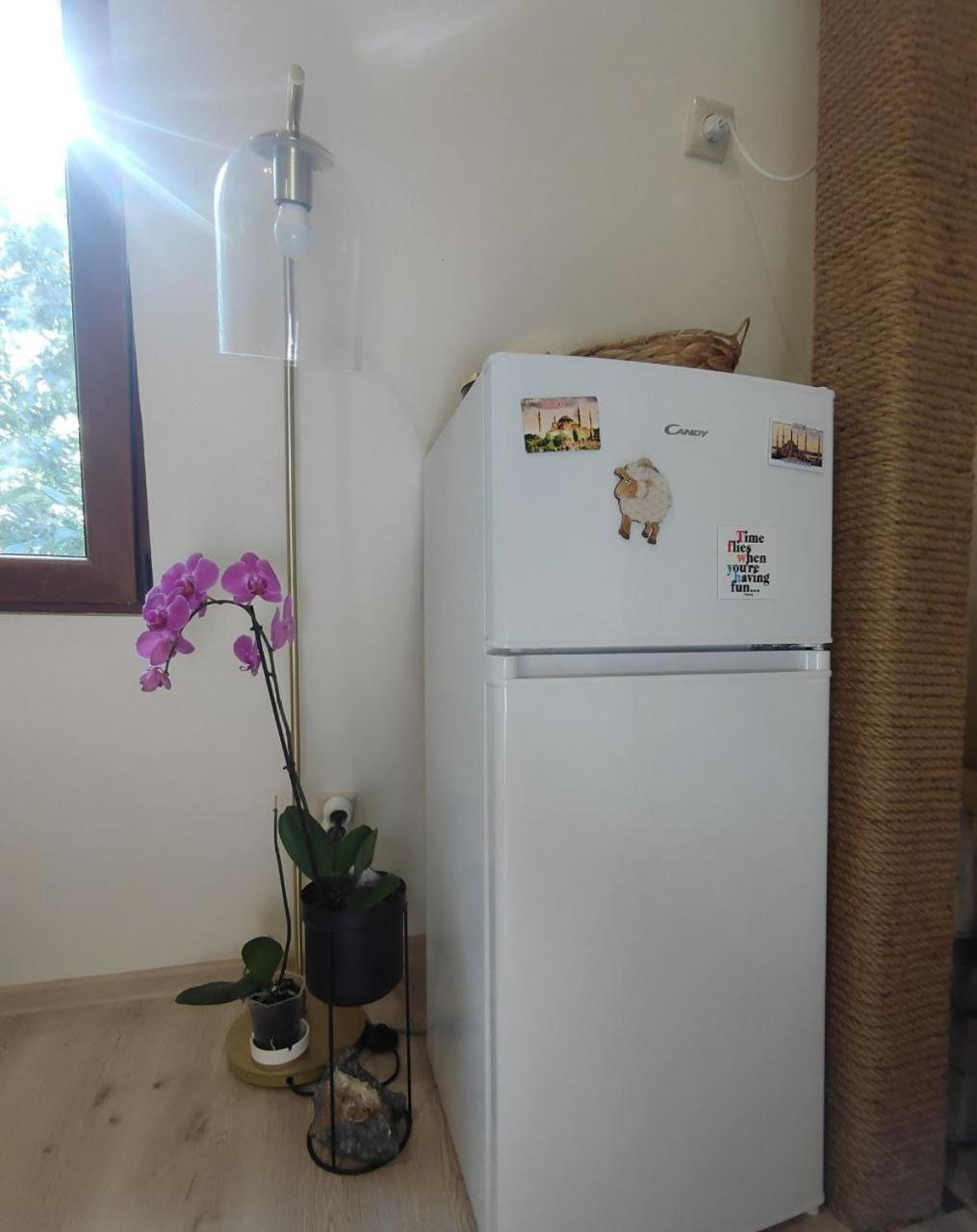 Dream Loft in the center of Varna