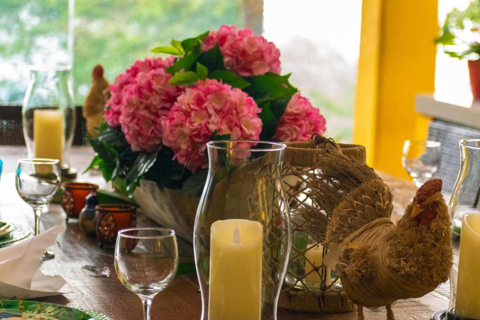 San Felipe Lodge. Birding and Wellness