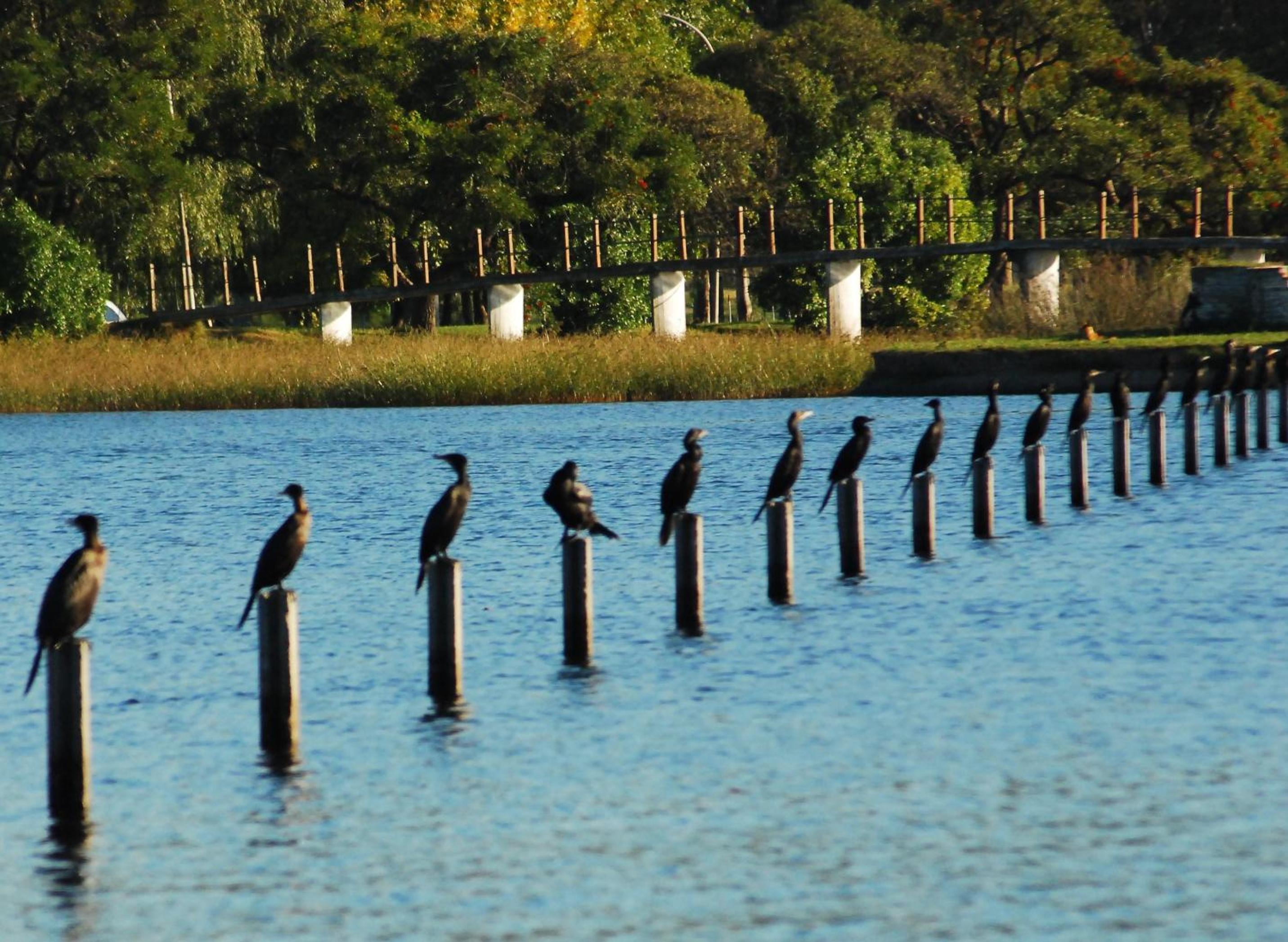 Apartamentos Laguna de Navarro