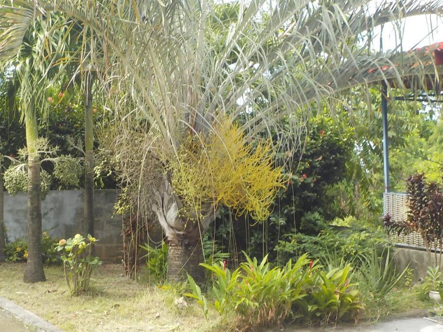 Appartement Tropical Garden