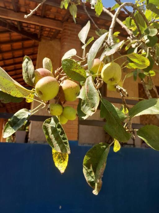 Chácara Ibiúna Florata