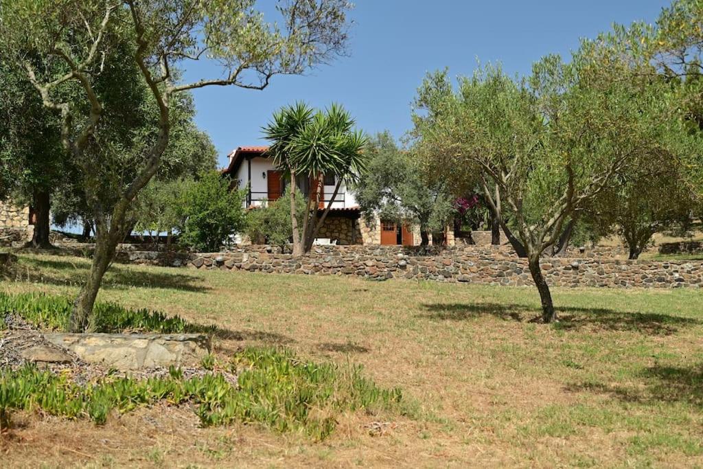 Villa Rozalenia Mare