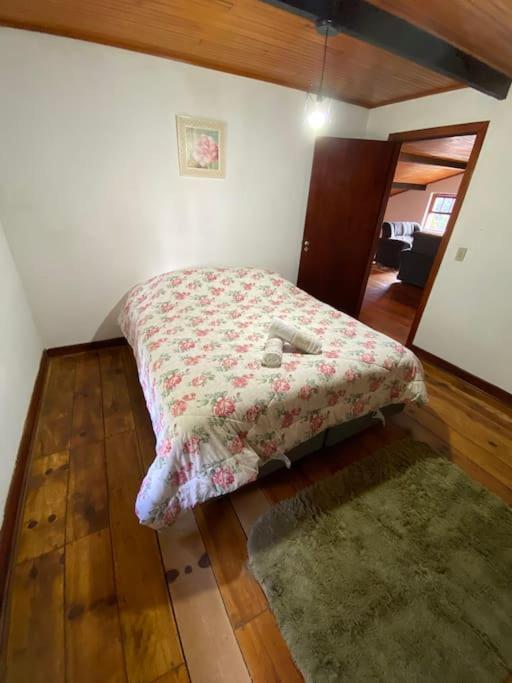 Casa a 200 metros do centro - Grinberg House