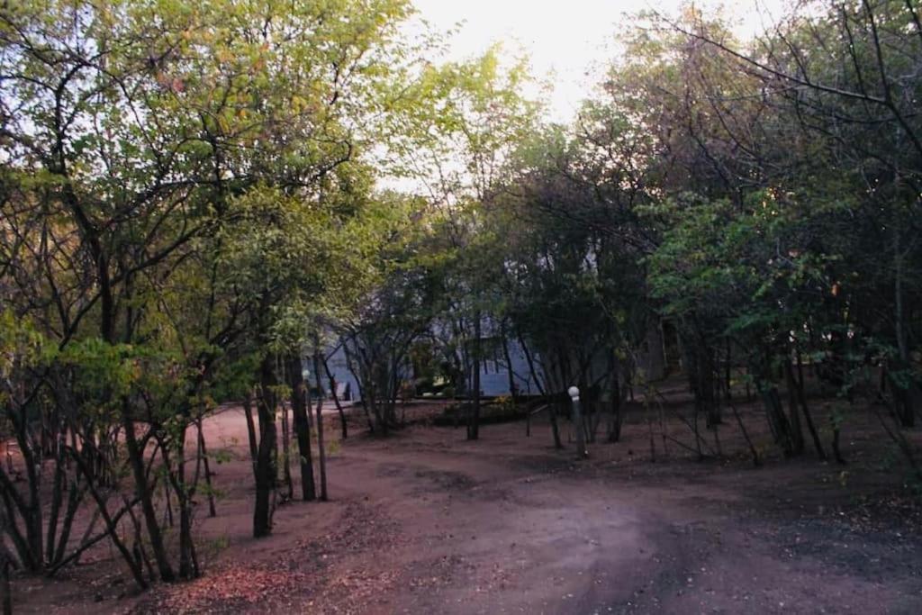Holistic Hive Retreat House view 3