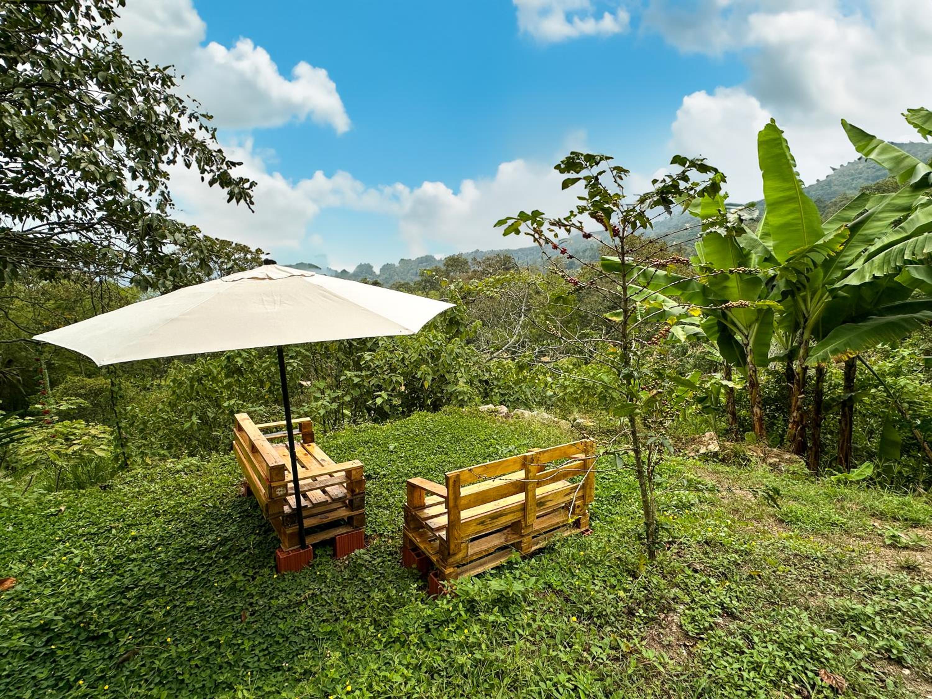 El Nido Andino