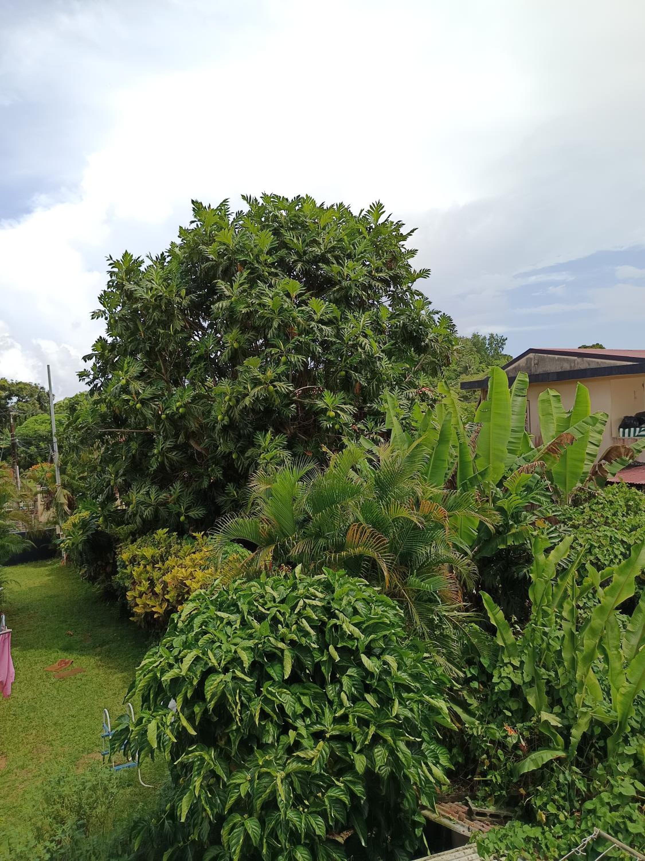 Haut de villa T3 attractif view 2
