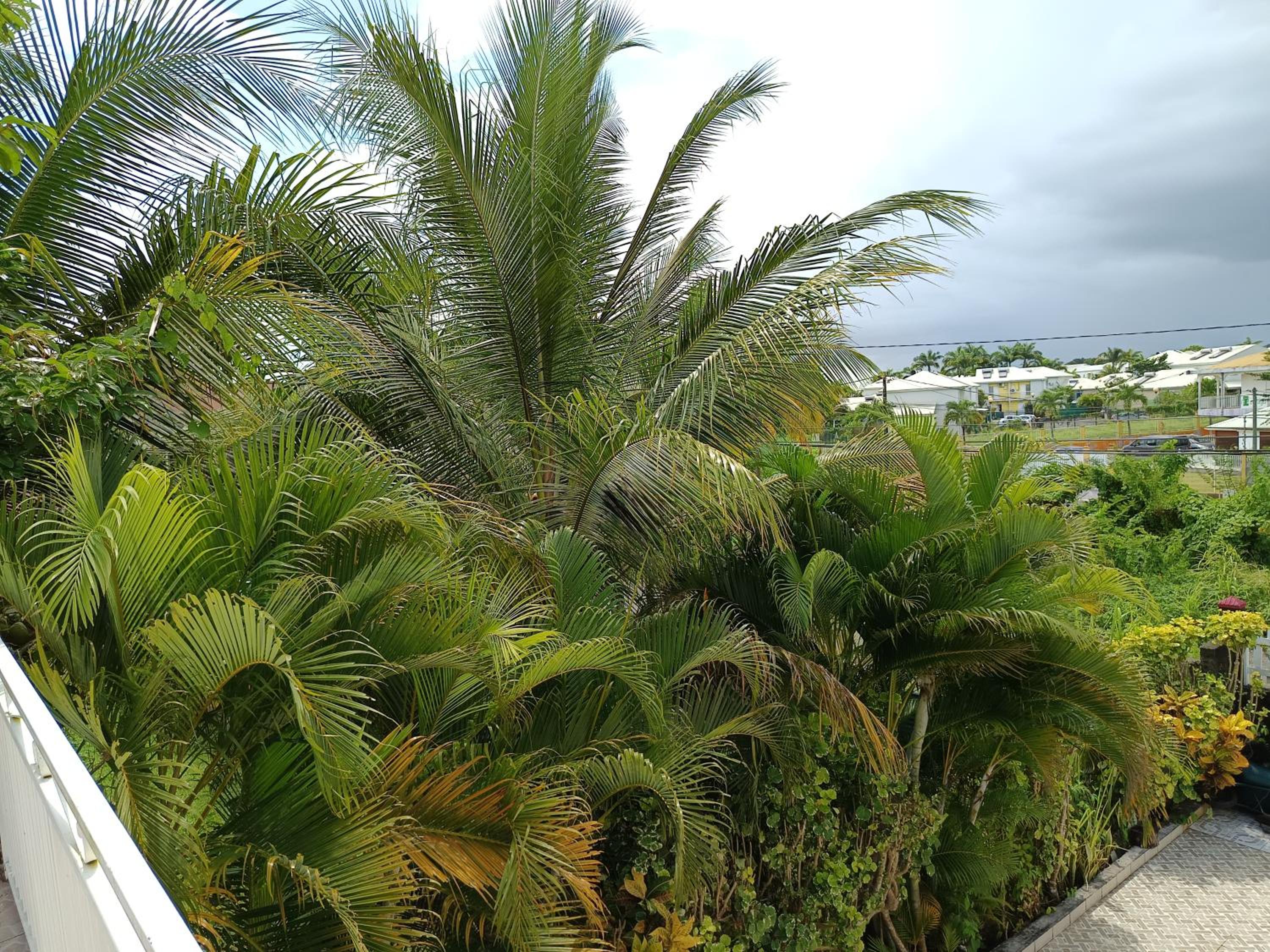 Haut de villa T3 attractif view 4