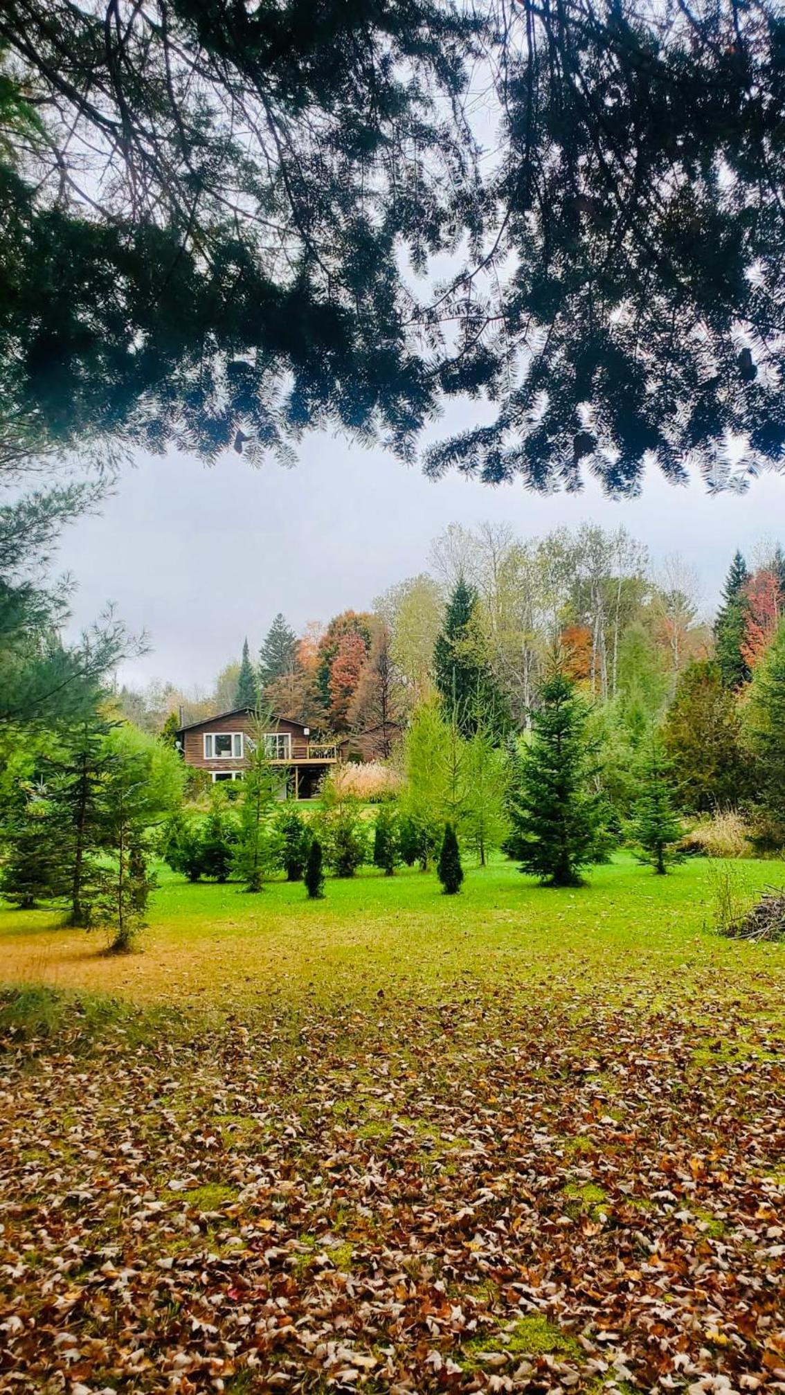 Riverfront Cottage Retreat