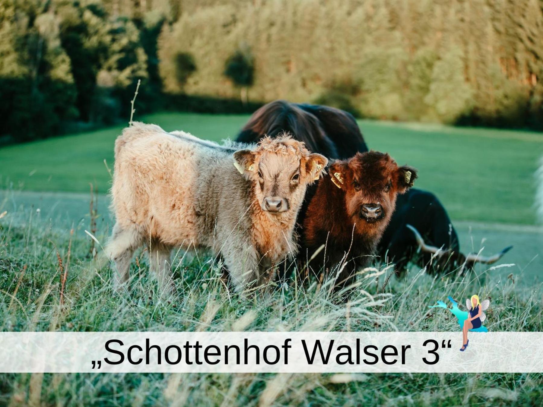 Multi-Fewo Haus Achberg Schottenhof Walser 3 - Property Image 12