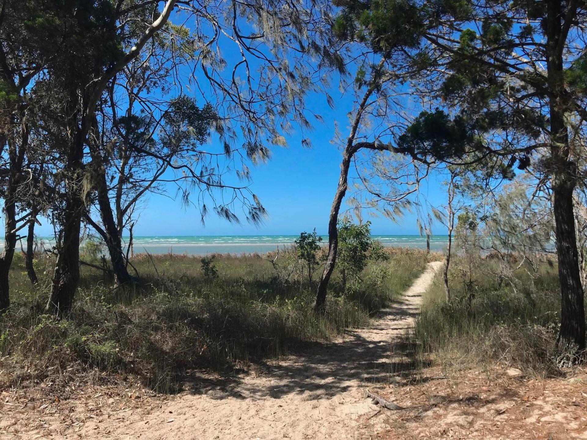 Beach Tails - Toogoom- Beachfront