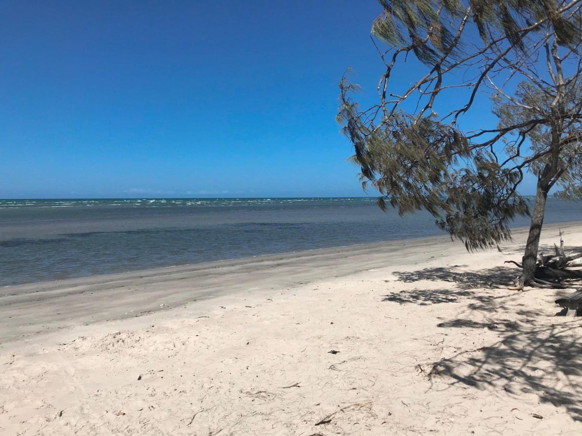 Beach Tails - Toogoom- Beachfront