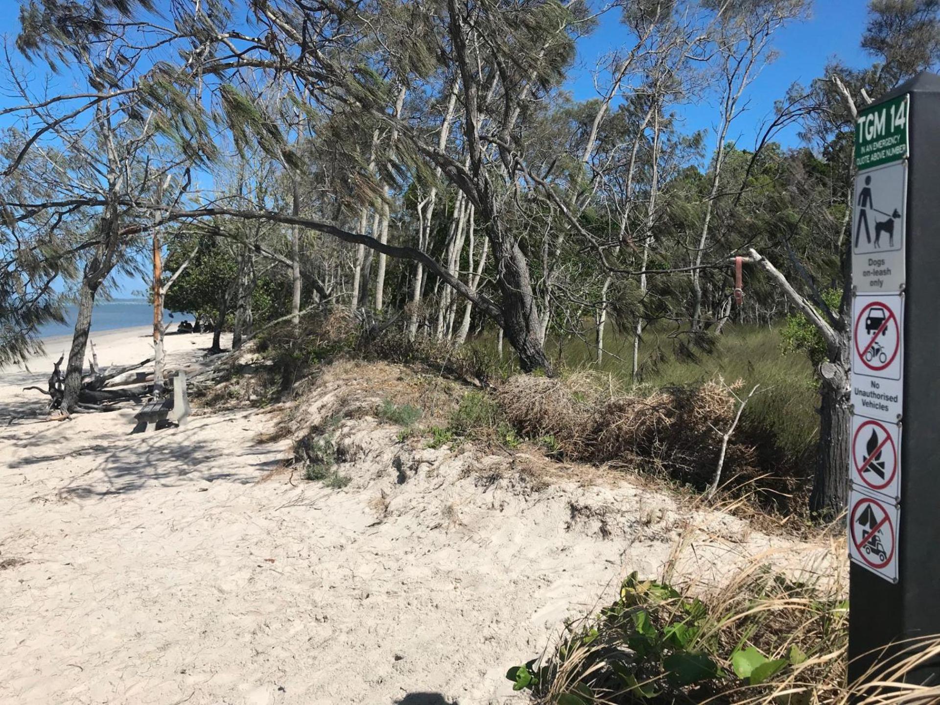 Beach Tails - Toogoom- Beachfront