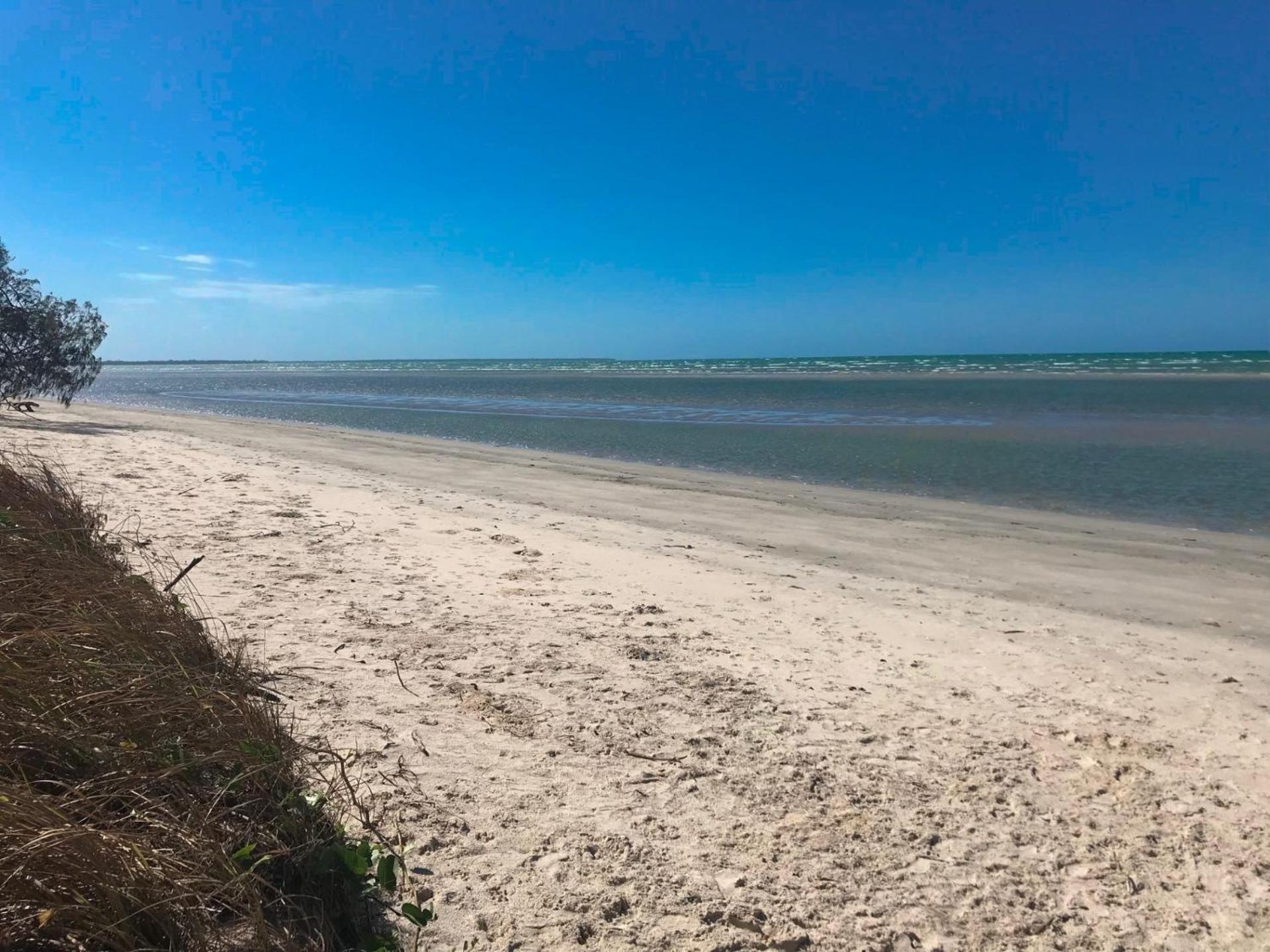Beach Tails - Toogoom- Beachfront