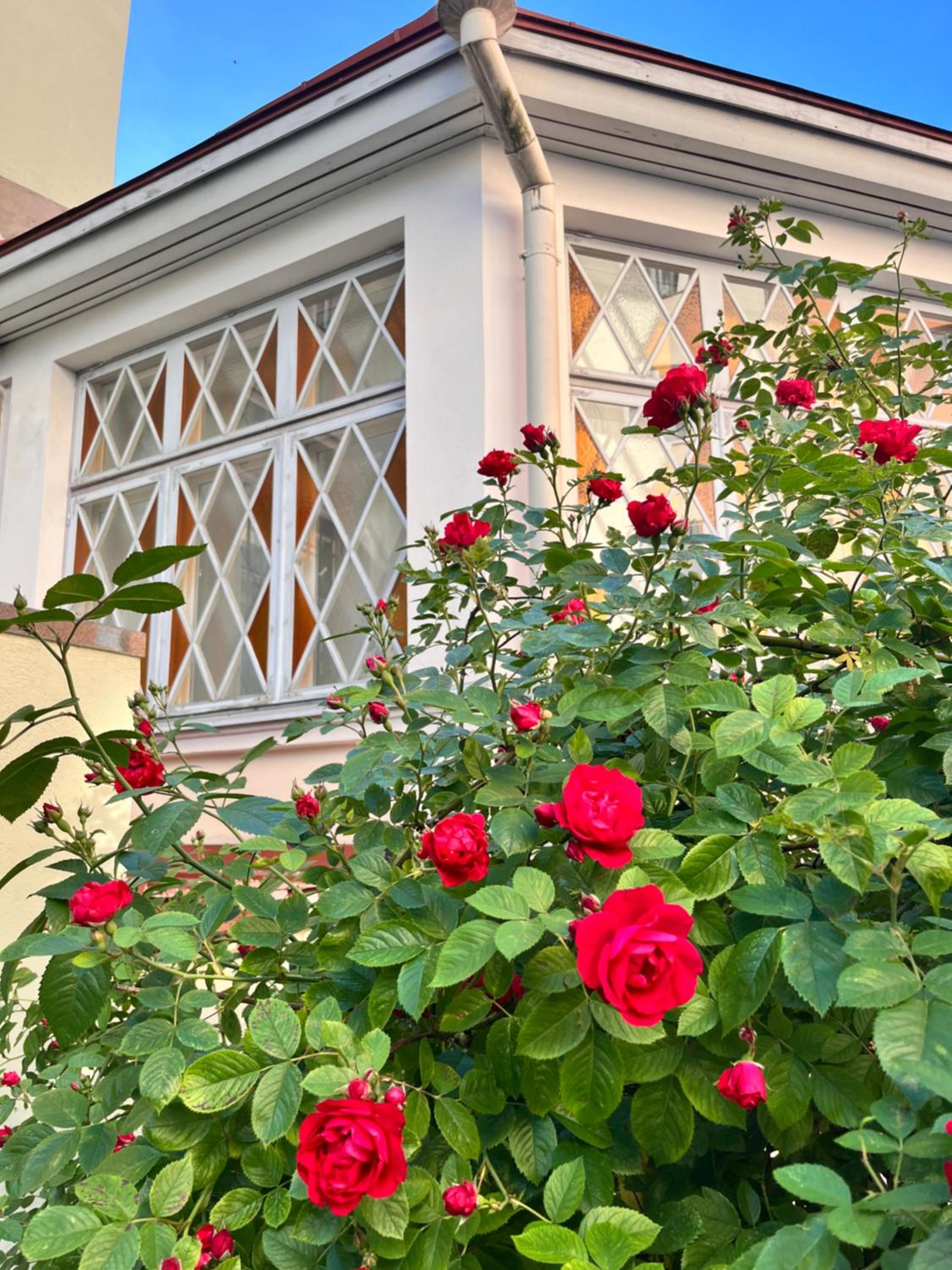 TallinnHousing Old Town Elegance Vana-Viru