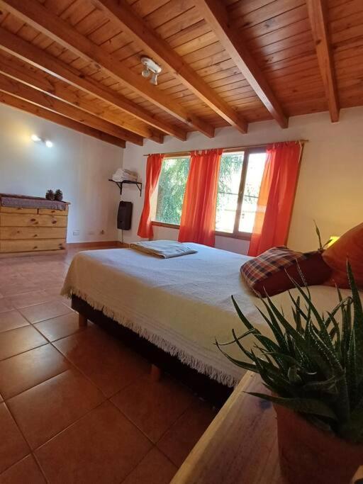 Apartamento céntrico 1, dos dormitorios, 5 pax