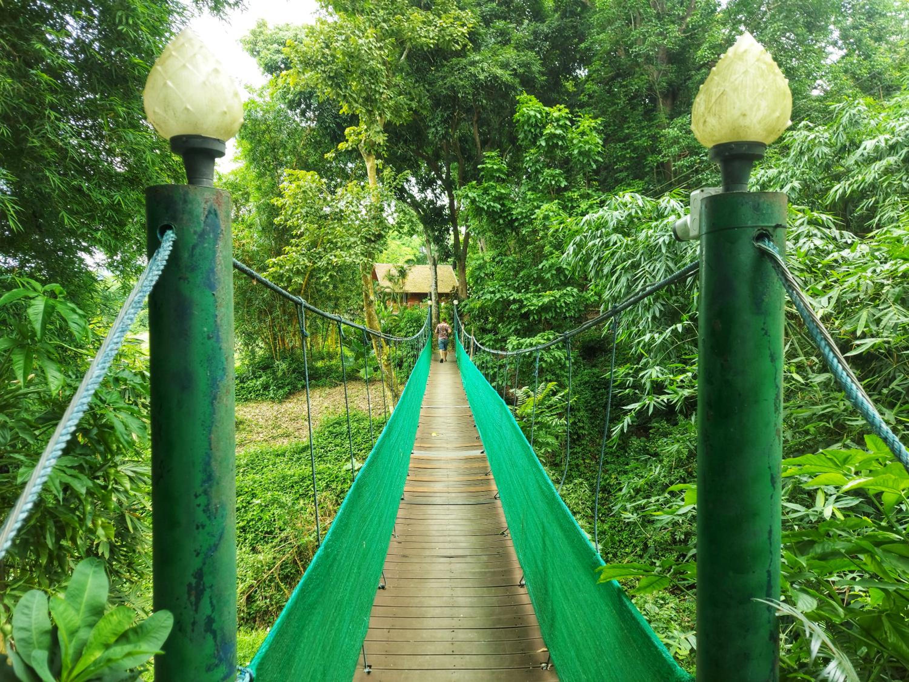 Photo 42
