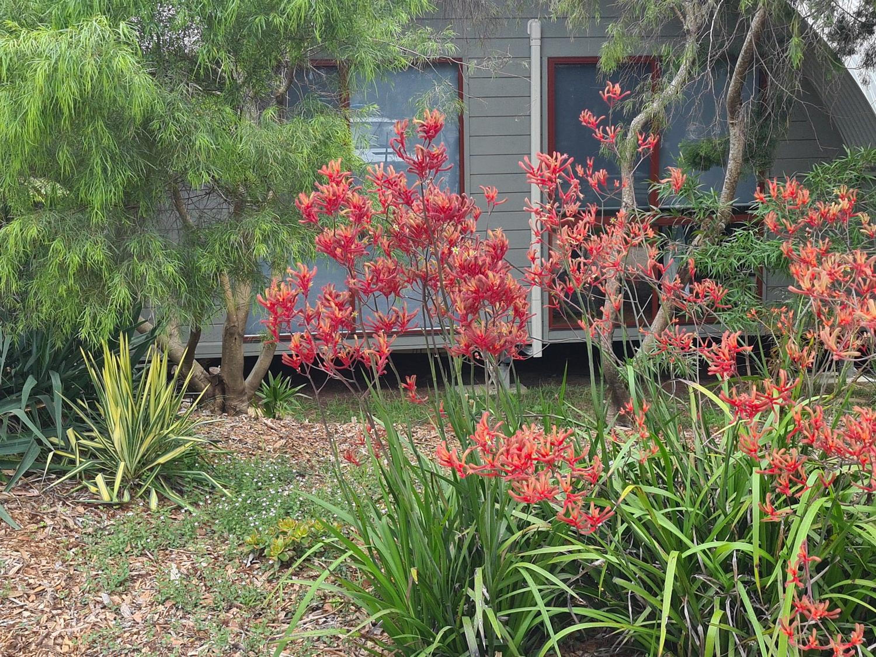 Mallacoota's Shady Gully Caravan Park