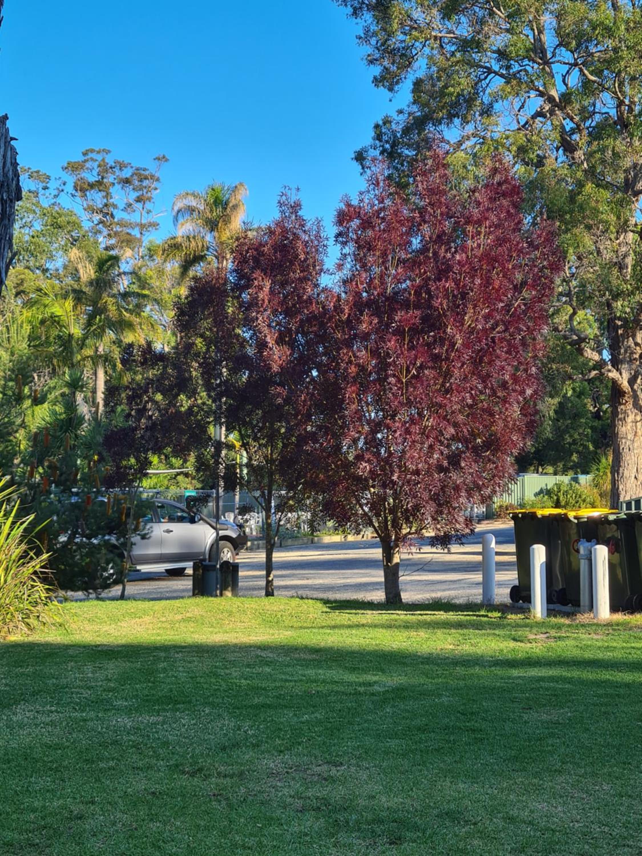 Mallacoota's Shady Gully Caravan Park