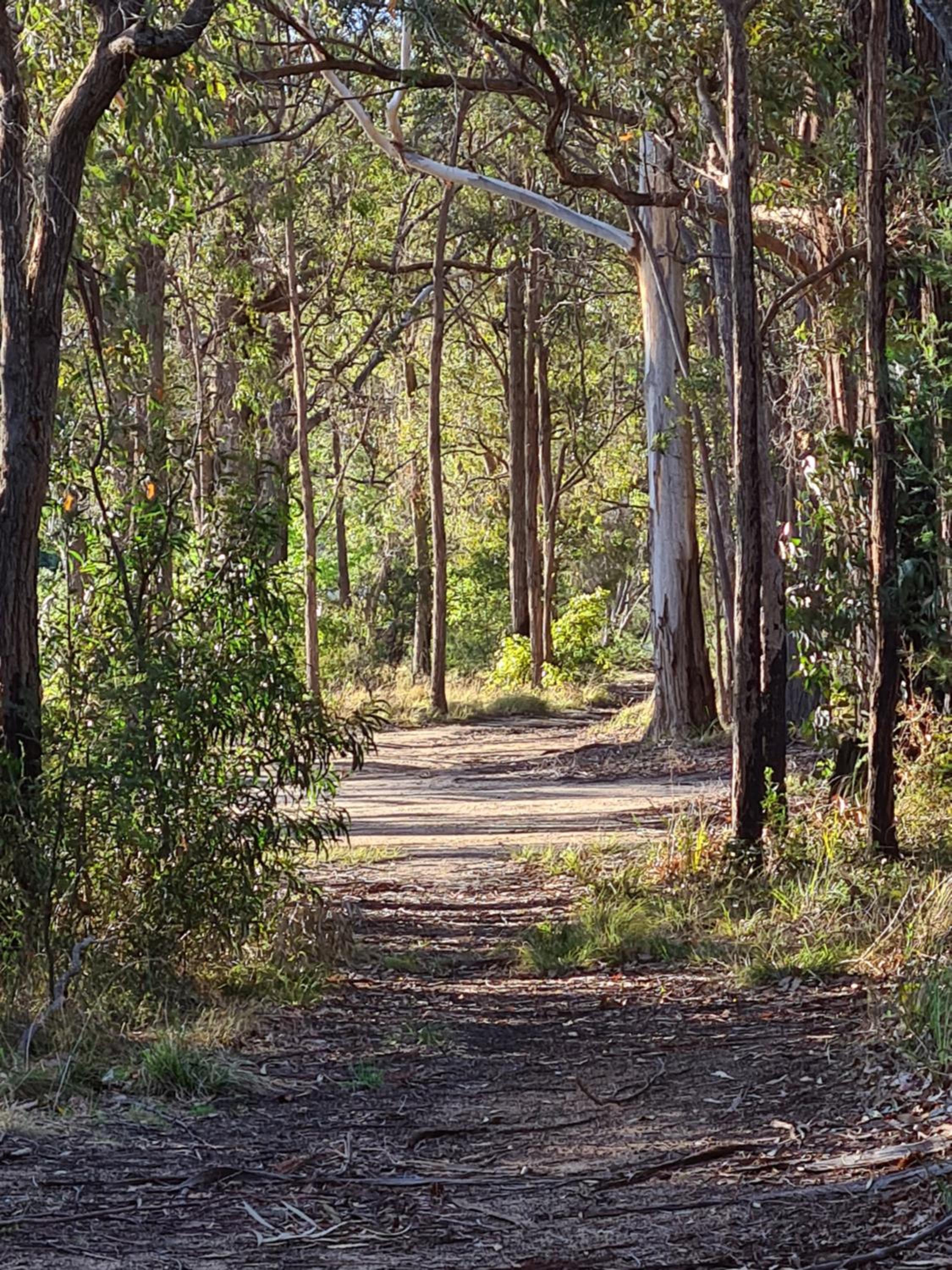 Mallacoota's Shady Gully Caravan Park