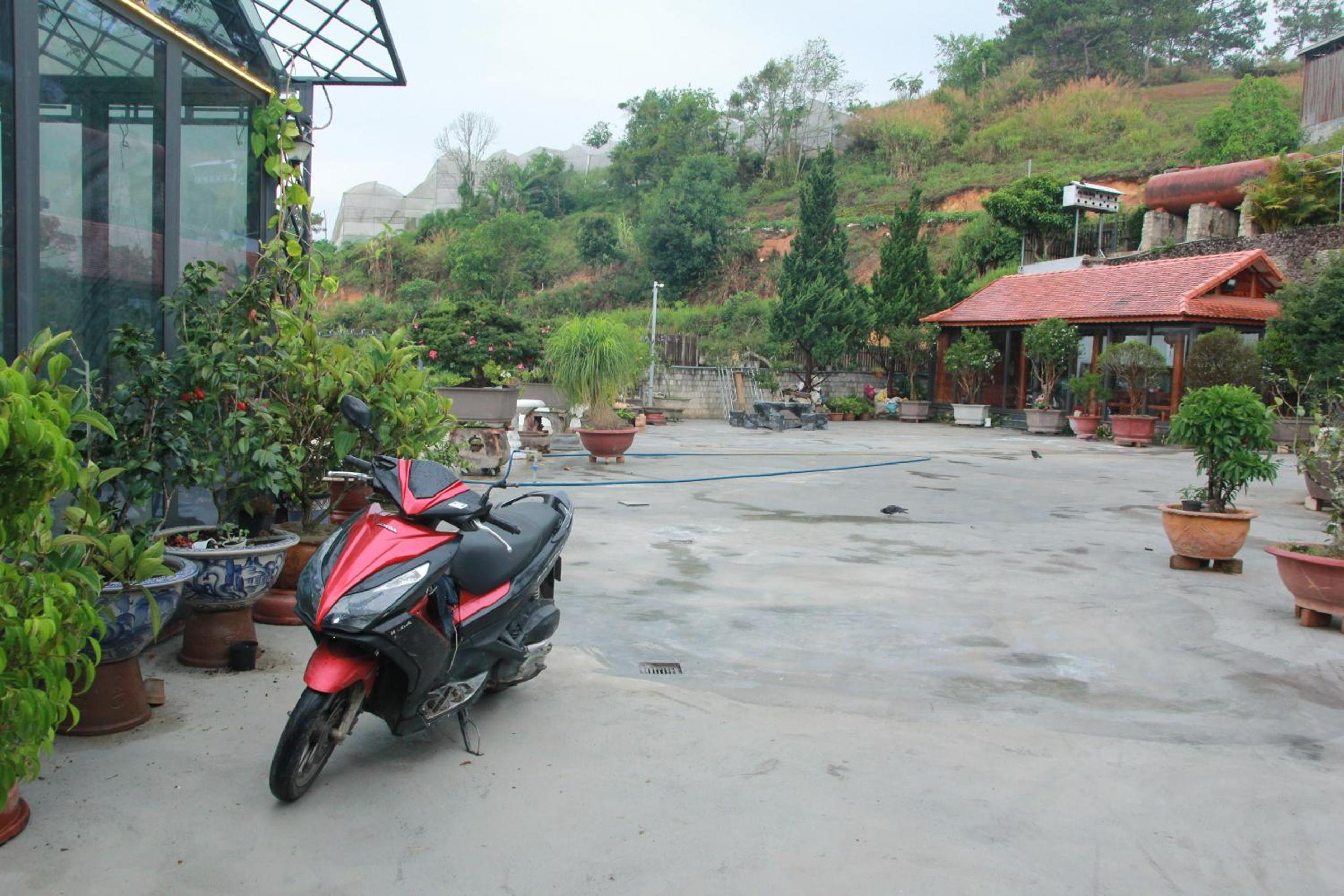 Photo 43