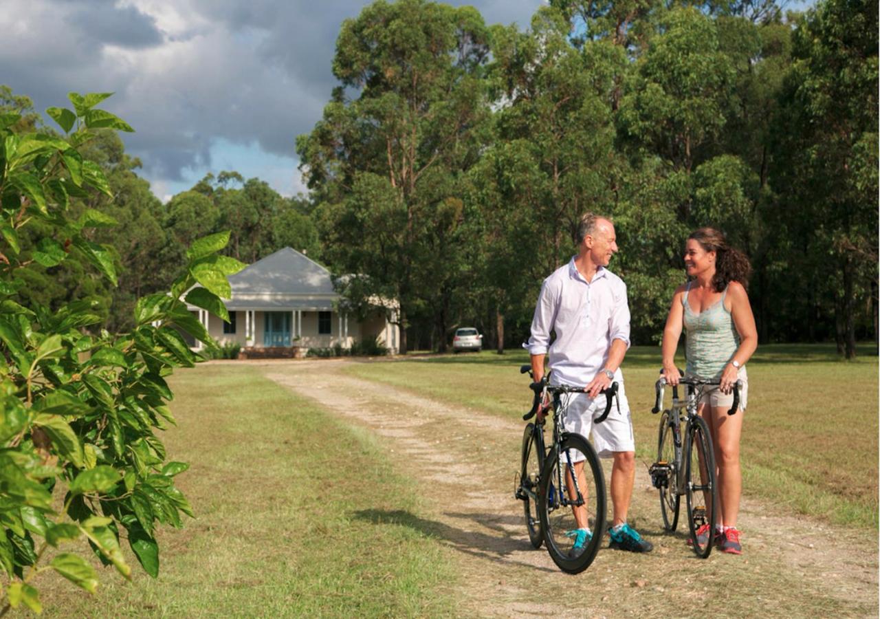 Lillians on Lovedale