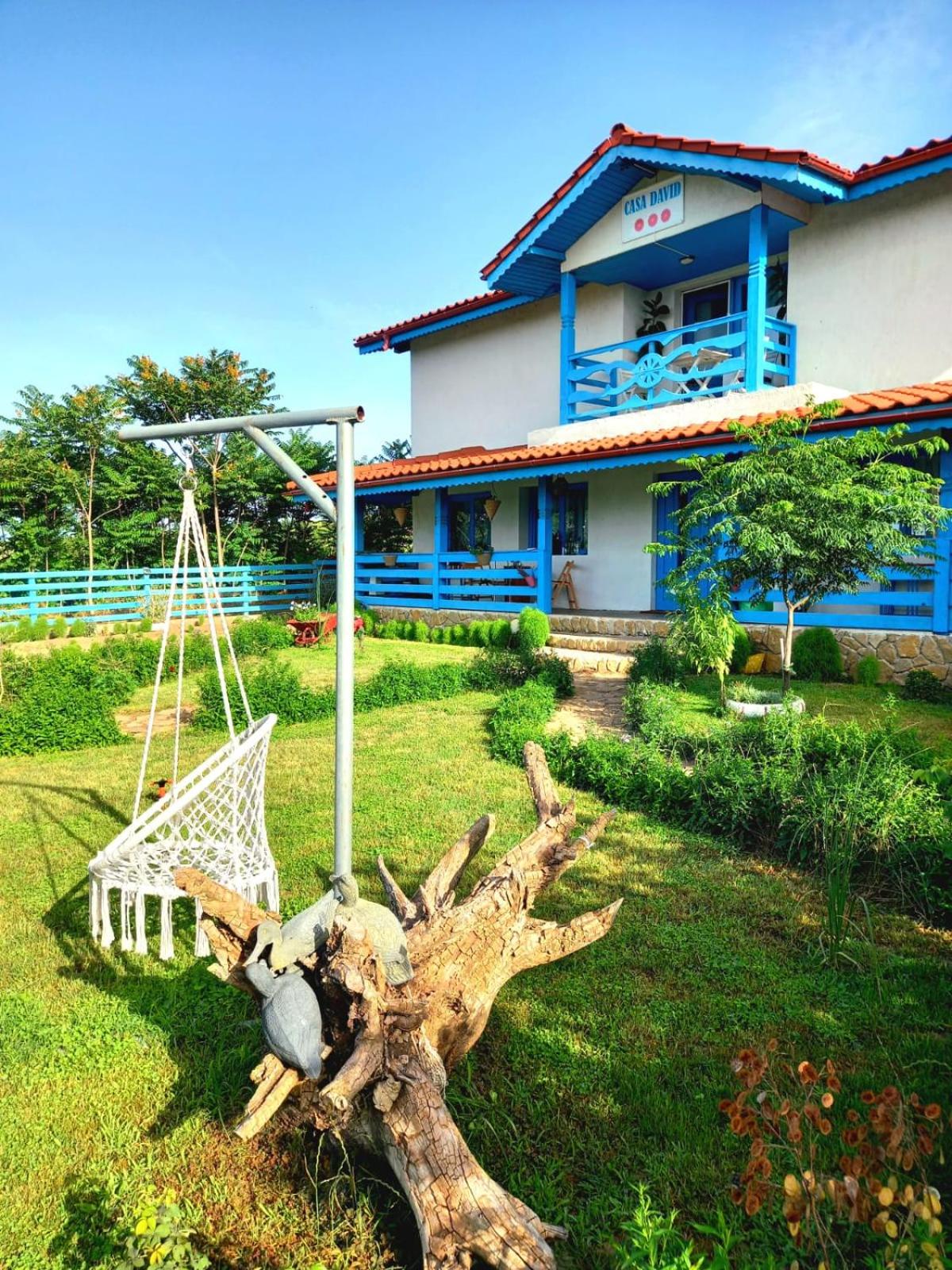 Casa David