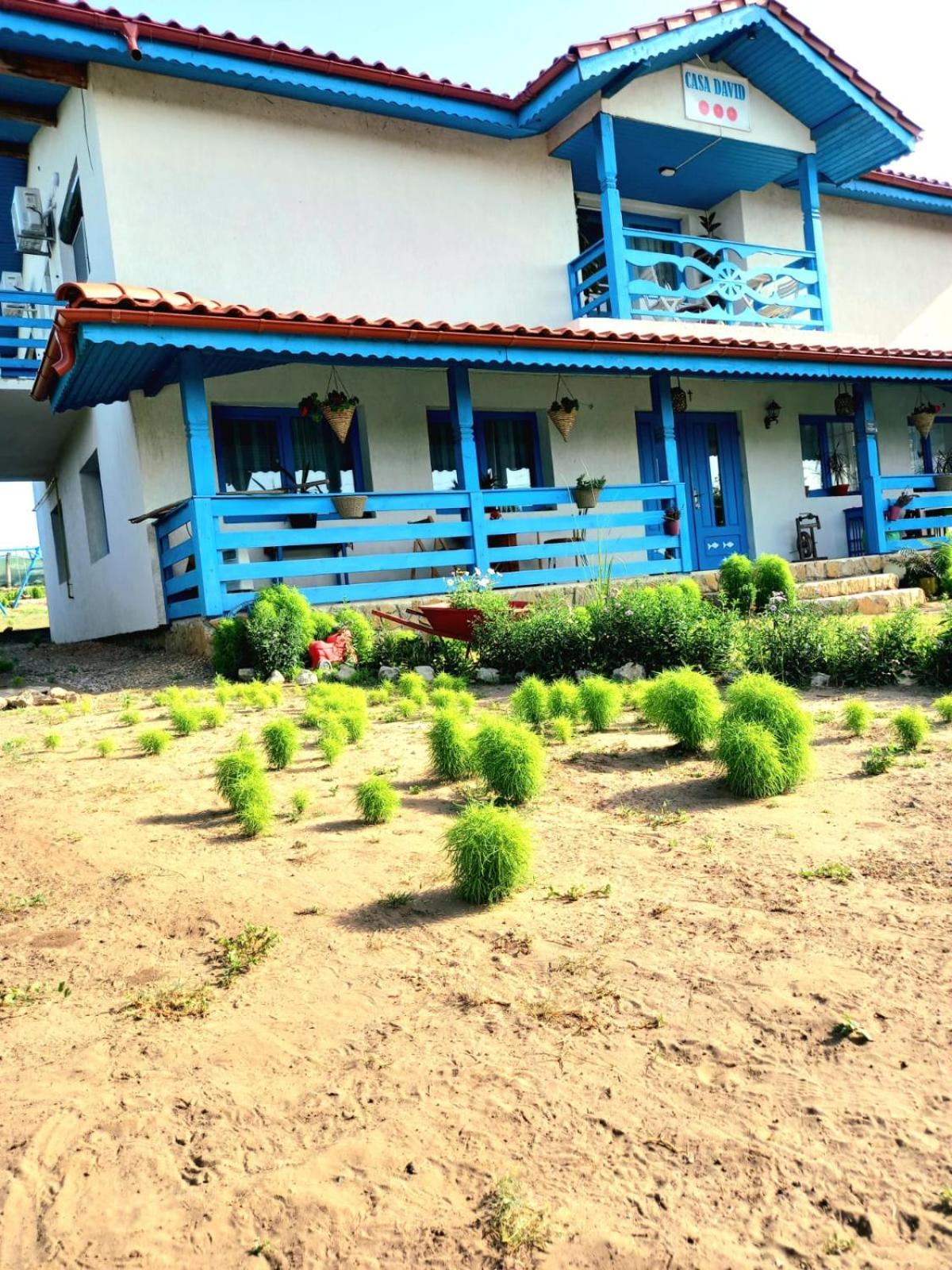 Casa David
