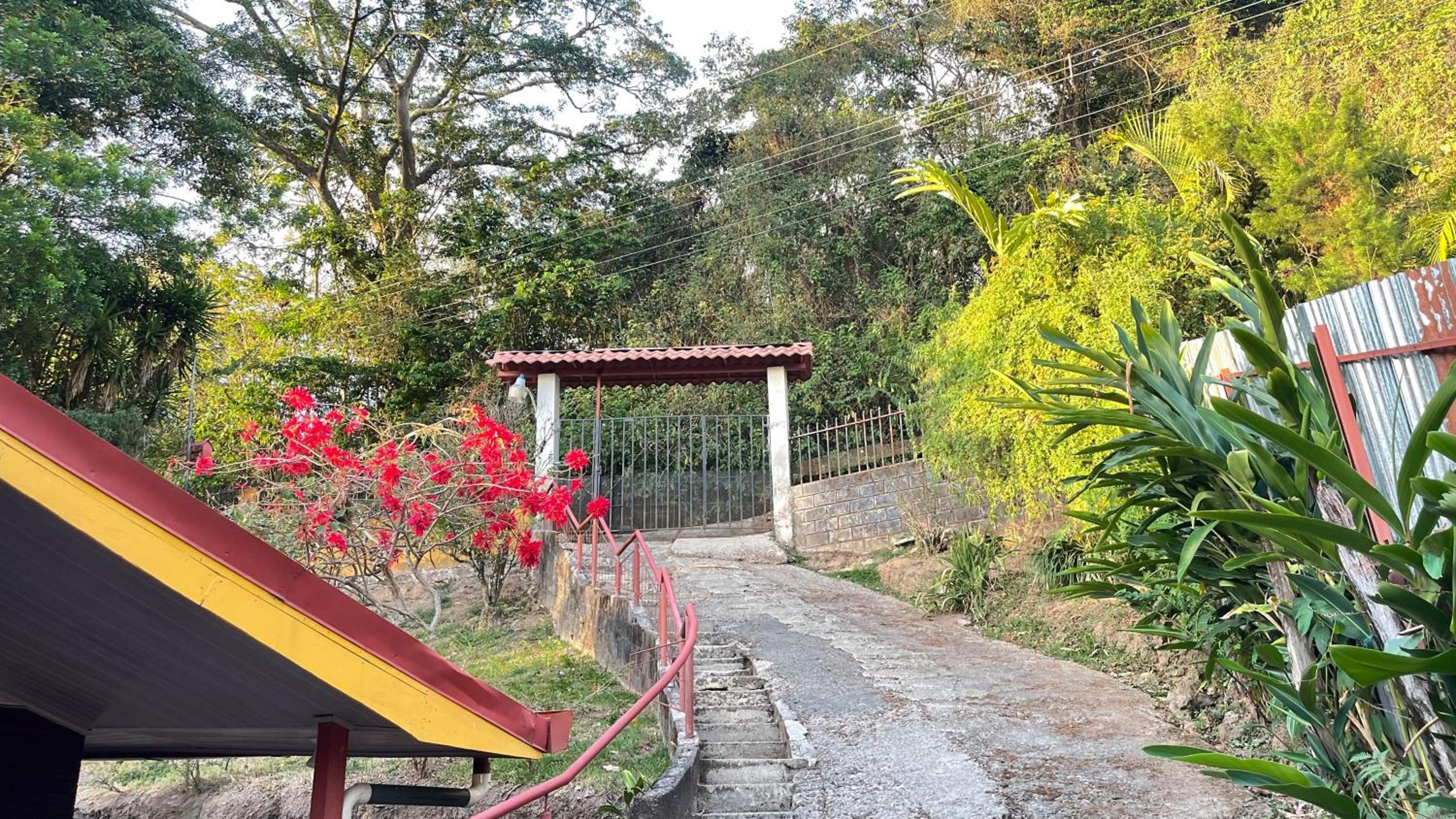 Colon Escape House
