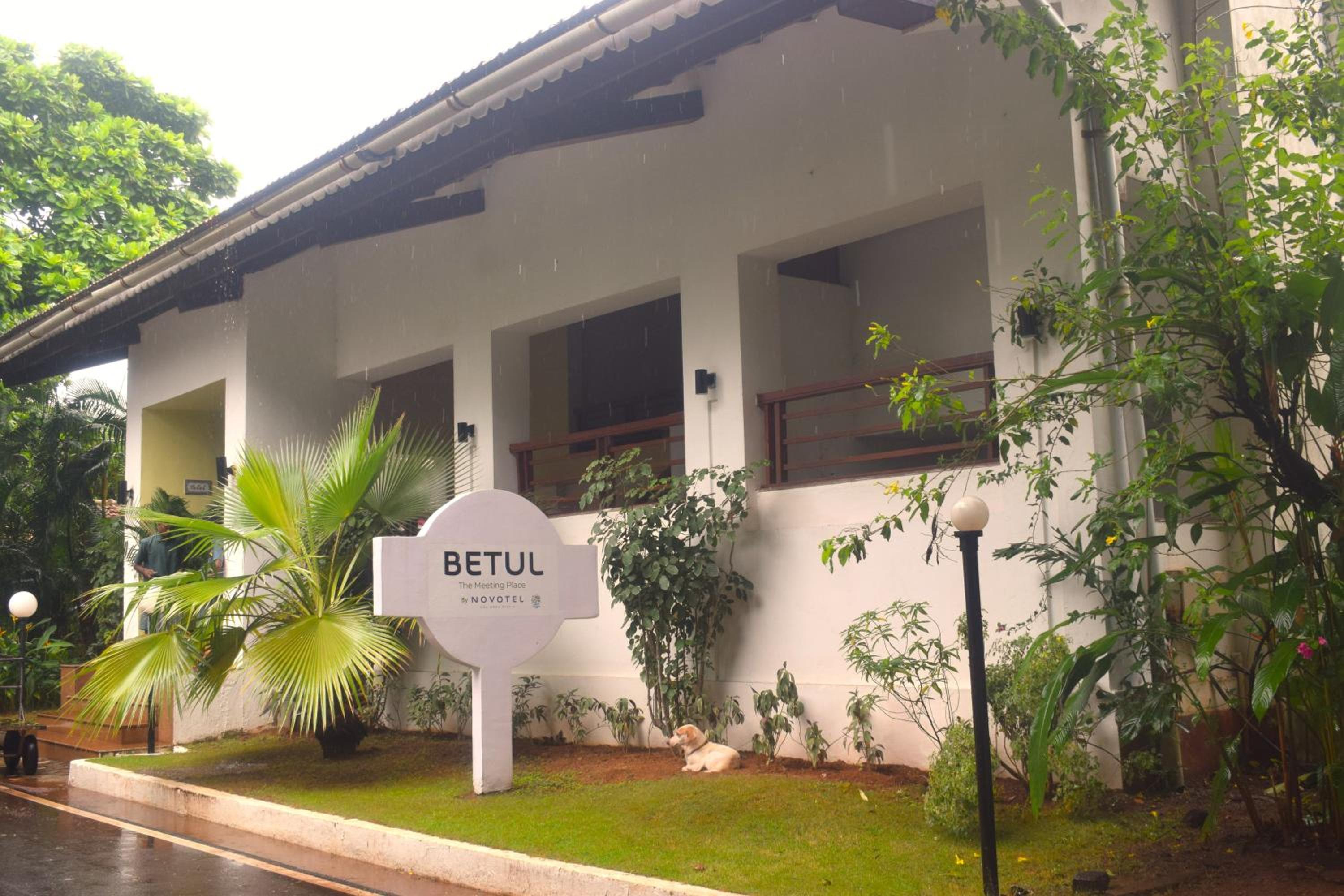 Cozy sea facing studio at Luisa by the Sea with hi-speed wifi, from Isavyasa Retreats view 2