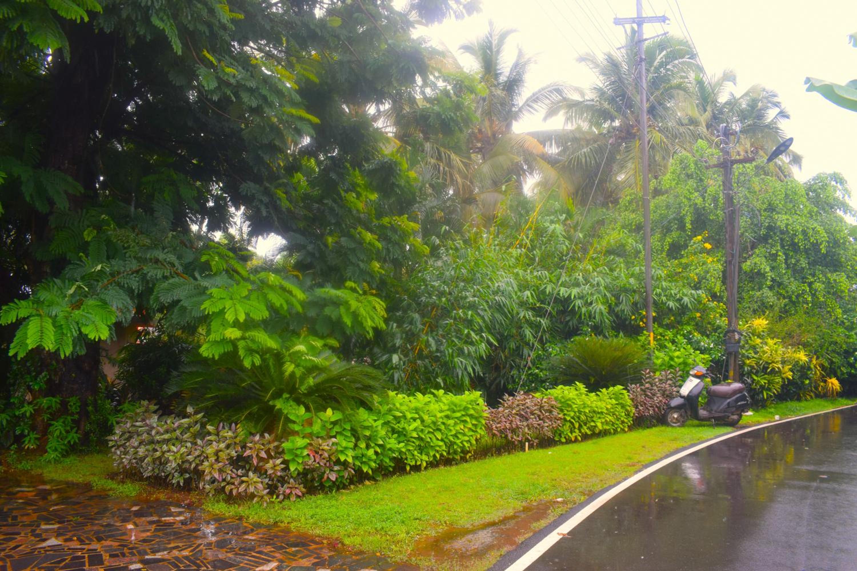 Cozy sea facing studio at Luisa by the Sea with hi-speed wifi, from Isavyasa Retreats view 4