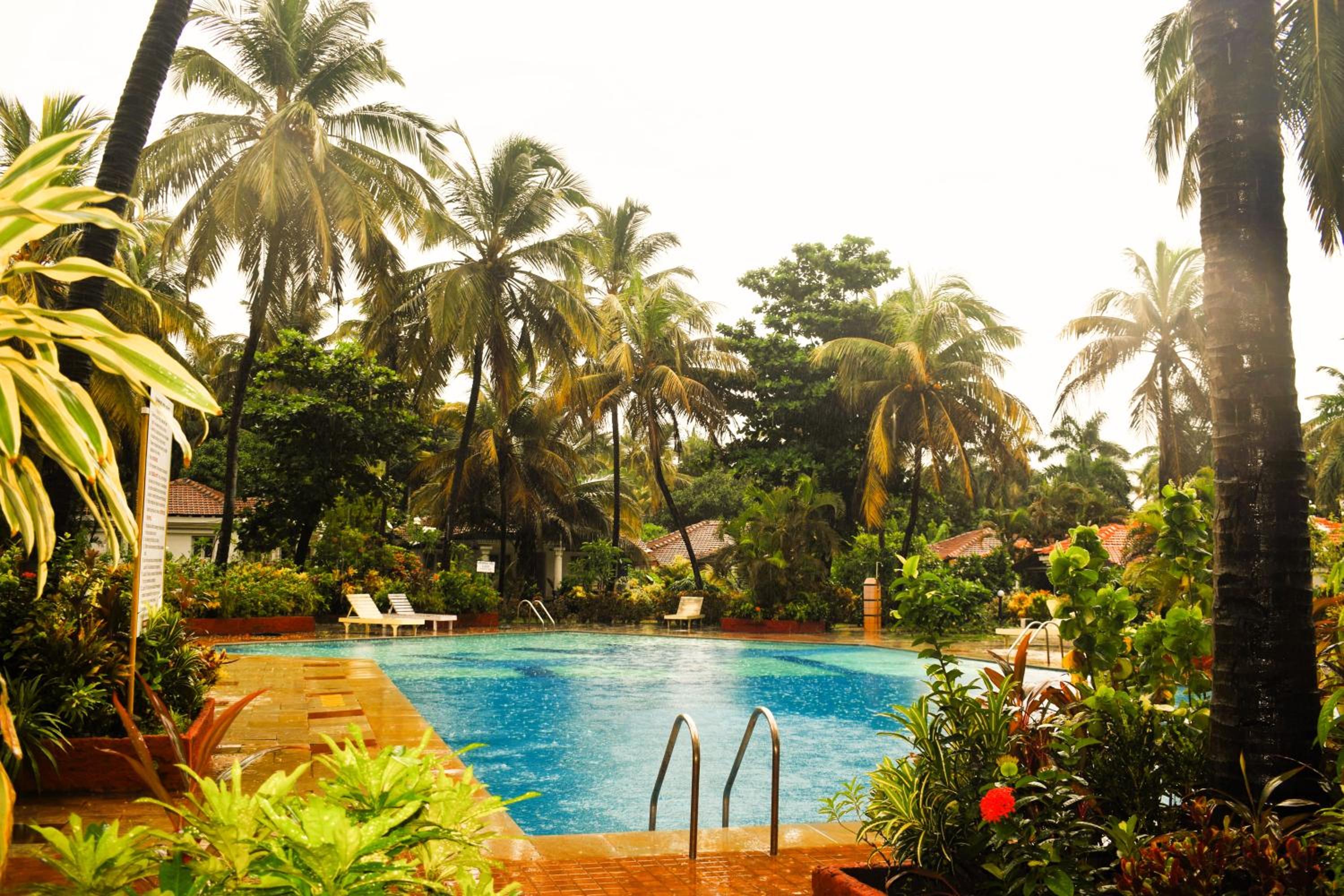 Cozy sea facing studio at Luisa by the Sea with hi-speed wifi, from Isavyasa Retreats view 3