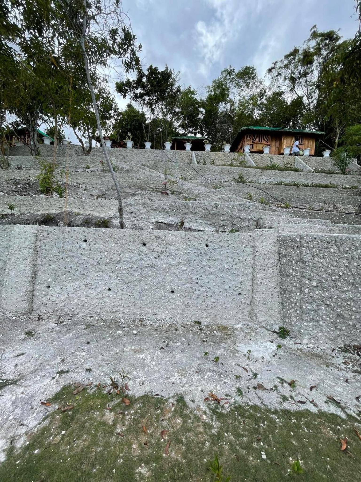 Photo 43