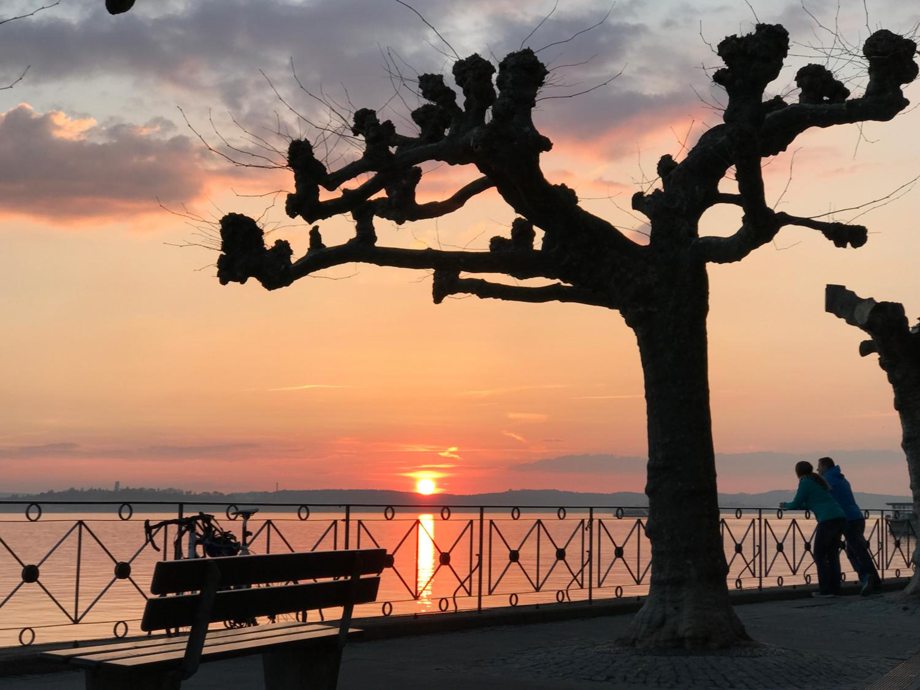 ZwoVier Meersburg